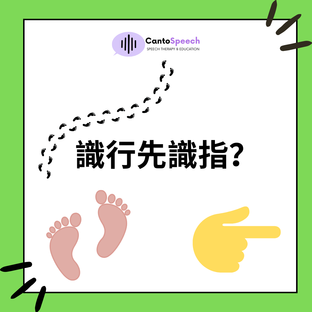 識行先識指